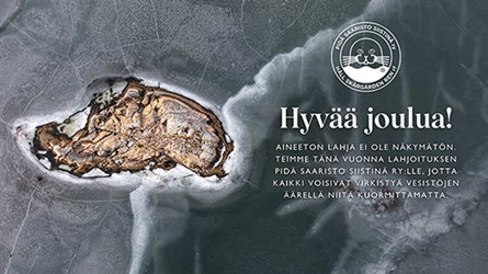 Hyvaa joulua 2025 500 281px